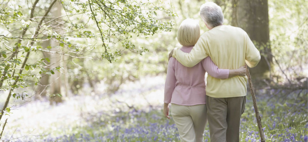 Medicare Supplement vs. Medicare Advantage